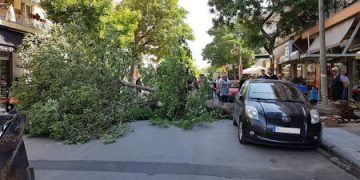 Έπεσε δένδρο σε κεντρικό δρόμο του Κορδελιού