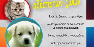 Πρόγραμμα Υιοθεσίας Αδέσποτων Ζώων υλοποιεί ο Δήμος Κορδελιού Ευόσμου