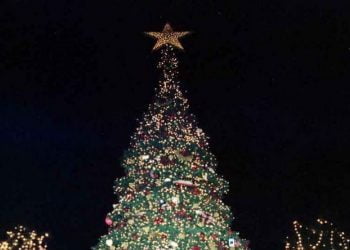 Σήμερα η φωταγώγηση του δέντρου στο Κορδελιό