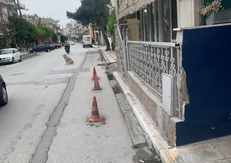 Εύοσμος: Αποκτά πεζοδρόμια από αύριο η Μ.Αλεξάνδρου