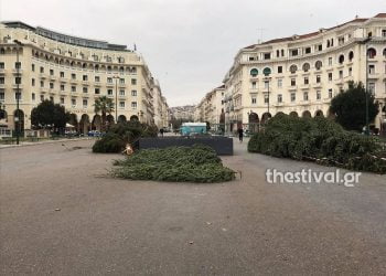 Θεσσαλονίκη: Έφτασαν τα χριστουγεννιάτικα δέντρα που θα στολίσουν την πλατεία Αριστοτέλους (φωτο)