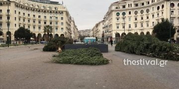 Θεσσαλονίκη: Έφτασαν τα χριστουγεννιάτικα δέντρα που θα στολίσουν την πλατεία Αριστοτέλους (φωτο)