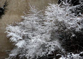 Θεσσαλονίκη: Έπεσαν τα πρώτα χιόνια στα ορεινά (Bίντεο)