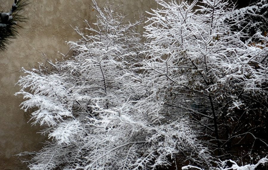 Θεσσαλονίκη: Έπεσαν τα πρώτα χιόνια στα ορεινά (Bίντεο)