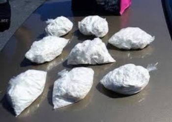 Θεσσαλονίκη: Εκπαιδευμένος σκύλος εντόπισε μεγάλη ποσότητα ναρκωτικών ουσιών