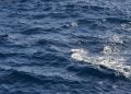 Θεσσαλονίκη: Θαλάσσια ρύπανση από πλοίο σημαίας Λιβερίας – Συνελήφθησαν Πλοίαρχος και Ά Μηχανικός