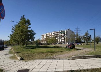 Εύοσμος-Κορδελιό: «Πονοκέφαλο» προκαλούν τα πανύψηλά δέντρα. Επιχείρηση για το κλάδεμα τους