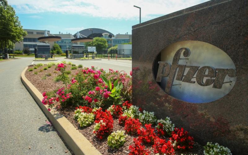 Θεσσαλονίκη: Νέες θέσεις εργασίας στο Κέντρο Ψηφιακής Τεχνολογίας της Pfizer