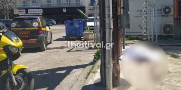 Θεσσαλονίκη : Το έσκασε από ψυχιατρική κλινική και σκοτώθηκε πέφτοντας από κολώνα της ΔΕΗ