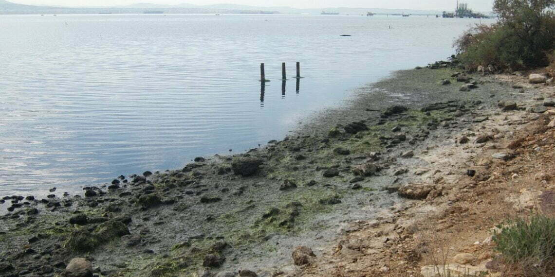 Ανησυχία για τη ρύπανση του Θερμαϊκού στην ακτή Καλοχωρίου