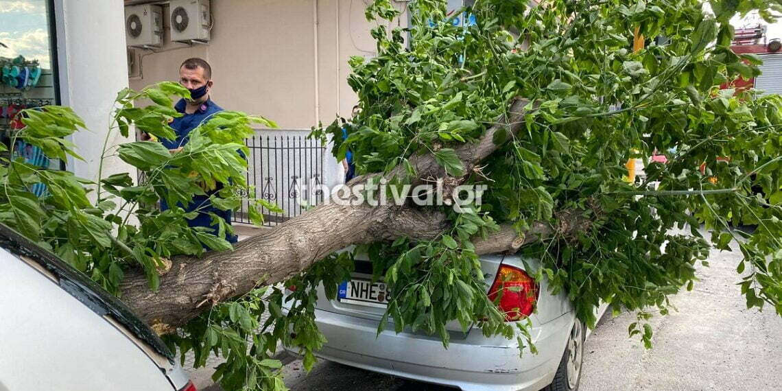 Θεσσαλονίκη: Δέντρο καταπλάκωσε αυτοκίνητα σε κεντρικό δρόμο των Αμπελοκήπων (εικόνες)