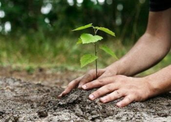 Ο Δήμος Κορδελιού – Ευόσμου τιμά την Παγκόσμια Ημέρα Δασοπονίας με δεντροφυτεύσεις