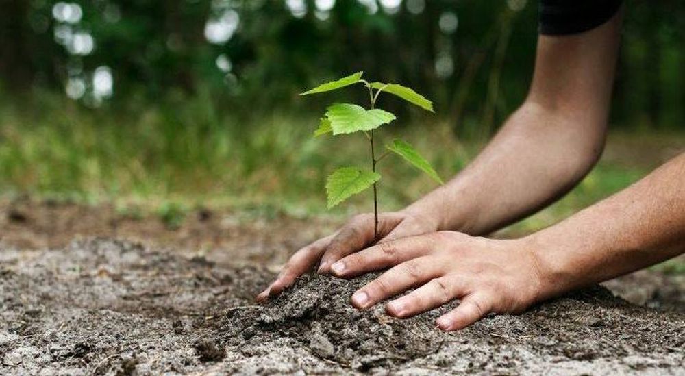 Ο Δήμος Κορδελιού – Ευόσμου τιμά την Παγκόσμια Ημέρα Δασοπονίας με δεντροφυτεύσεις