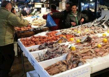 Θεσσαλονίκη: Μισό τόνο κουτσομούρες κατάσχεσαν λιμενικοί στην ιχθυόσκαλα Μηχανιώνας