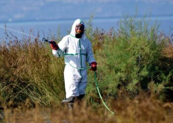 Έκτακτοι ψεκασμοί σε Θεσσαλονίκη και Ημαθία για την για την καταπολέμηση των κουνουπιών