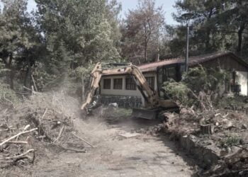 «SOS» εκπέμπει ο Ζωολογικός Κήπος. Χάνει όλα τα πεύκα!