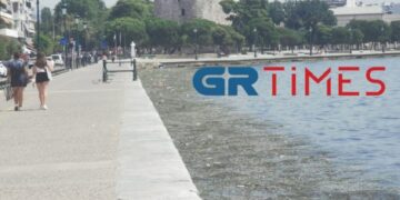 Σοκαριστική η εικόνα του Θερμαϊκού – Νεκρά πτηνά, σκουπίδια και φύκια