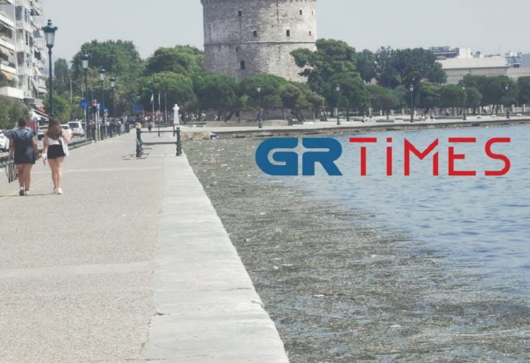 Σοκαριστική η εικόνα του Θερμαϊκού – Νεκρά πτηνά, σκουπίδια και φύκια