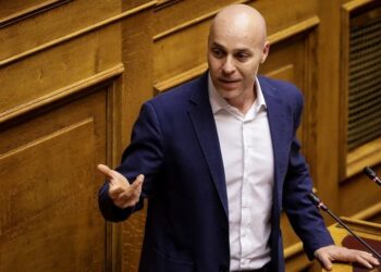 Γ. Αμυράς: Εξετάζεται η δημιουργία νοσοκομείου άγριων ζώων στη Θεσσαλονίκη
