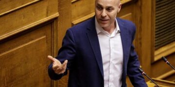 Γ. Αμυράς: Εξετάζεται η δημιουργία νοσοκομείου άγριων ζώων στη Θεσσαλονίκη