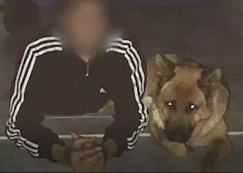 Στον τόπου του εγκλήματος: Έτσι τη σκότωσε – Τα δολοφονικά χτυπήματα (video)