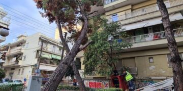 Δέντρο έπεσε πάνω σε πολυκατοικία στο κέντρο της Καλαμαριάς