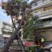 Δέντρο έπεσε πάνω σε πολυκατοικία στο κέντρο της Καλαμαριάς