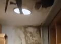 Tριτοκοσμικές εικόνες στη διεύθυνση αθλητισμού του Δήμου Θεσσαλονίκης