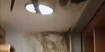 Tριτοκοσμικές εικόνες στη διεύθυνση αθλητισμού του Δήμου Θεσσαλονίκης