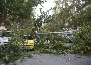 Θεσσαλονίκη: Πτώσεις δέντρων στο κέντρο και στο Δερβένι