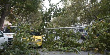 Θεσσαλονίκη: Πτώσεις δέντρων στο κέντρο και στο Δερβένι