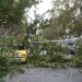 Θεσσαλονίκη: Πτώσεις δέντρων στο κέντρο και στο Δερβένι