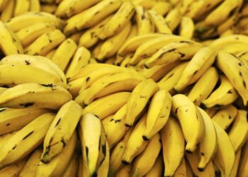 Βρέθηκαν 82 κιλά κοκαΐνης σε κοντέινερ με μπανάνες