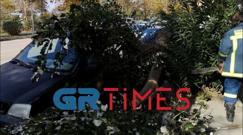 Θεσσαλονίκη: Κλαδί «προσγειώθηκε» σε αυτοκίνητο λόγω του αέρα