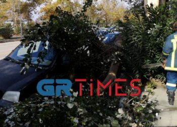 Θεσσαλονίκη: Κλαδί «προσγειώθηκε» σε αυτοκίνητο λόγω του αέρα