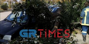 Θεσσαλονίκη: Κλαδί «προσγειώθηκε» σε αυτοκίνητο λόγω του αέρα