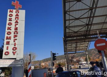 Πρόεδρος Εργαζομένων Παπαγεωργίου: Πεθαίνουν πριν προλάβουν να μπουν σε ΜΕΘ