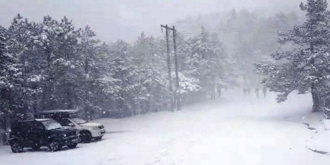 Έπεσαν τα πρώτα χιόνια: Στα λευκά ο Χορτιάτης στη Θεσσαλονίκη και η Πάρνηθα στην Αττική- Η πρόβλεψη για την Τετάρτη