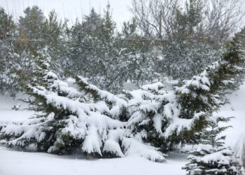 Ο καιρός σήμερα (13/12) στη Θεσσαλονίκη: Χιόνια στα ορεινά!