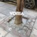 Άγνωστοι έριξαν τσιμέντο στις ρίζες δέντρων στη Θεσσαλονίκη