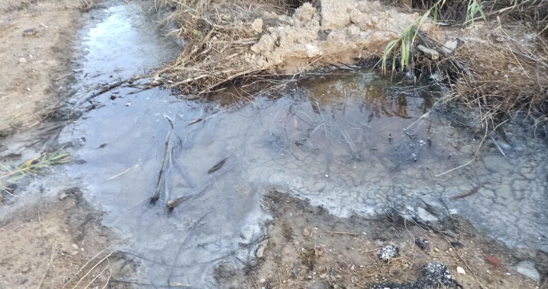 Δυτική Θεσσαλονίκη: Περιβαλλοντική ρύπανση από πέντε βυρσοδεψεία