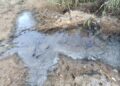 Δυτική Θεσσαλονίκη: Περιβαλλοντική ρύπανση από πέντε βυρσοδεψεία