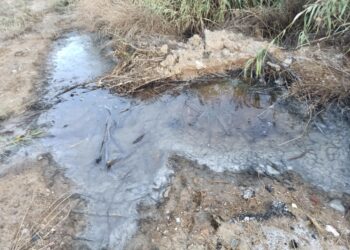 Δυτική Θεσσαλονίκη: Περιβαλλοντική ρύπανση από πέντε βυρσοδεψεία