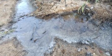 Δυτική Θεσσαλονίκη: Περιβαλλοντική ρύπανση από πέντε βυρσοδεψεία