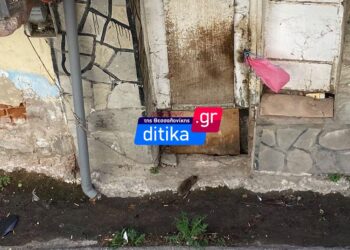 Εύοσμος: Ποντίκια κάνουν …πάρτι σε εγκαταλελειμμένο σπίτι