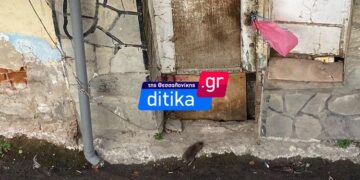 Εύοσμος: Ποντίκια κάνουν …πάρτι σε εγκαταλελειμμένο σπίτι