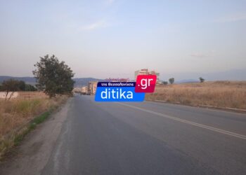 Εύοσμος: Διακόσια δέντρα θα φυτευτούν άνωθεν της περιφερειακής