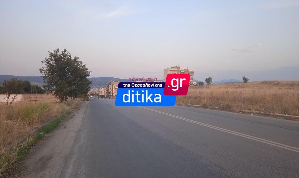 Εύοσμος: Διακόσια δέντρα θα φυτευτούν άνωθεν της περιφερειακής