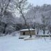 Κακοκαιρία «Μπιάνκα»: Χιονίζει στα ορεινά της Θεσσαλονίκης (Εικόνες & βίντεο)