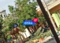Κορδελιό: ‘Επεσε δέντρο μπροστά σε σχολείο – Από θαύμα γλίτωσαν τα παιδιά